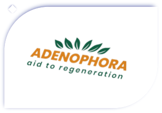 Adenophore aid to regenartion